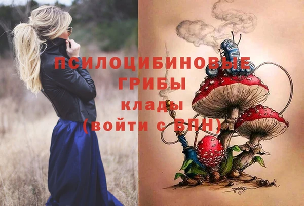 дживик Абинск