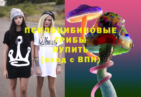 дживик Абинск