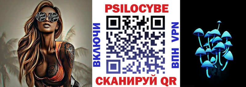 Галлюциногенные грибы Psilocybe  Искитим 